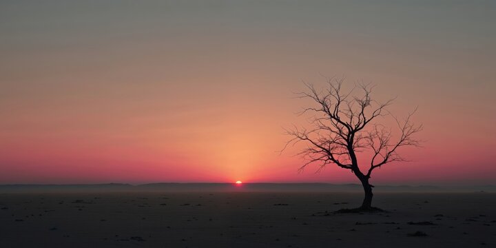 Dramatic Sunset Over Silent Landscape with Bare Tree Silhouette.