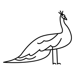 peacock animal line art.