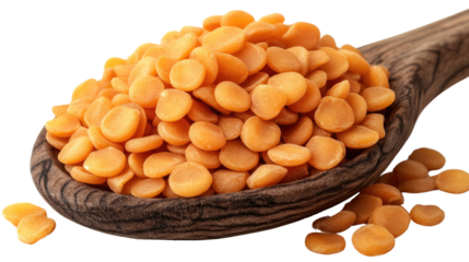 Lentils on a wooden spoon: A macro shot of orange lentils on a wooden spoon shows off their tiny, perfect shape. Perfect for use as a healthy ingredient in cooking and for food photography.