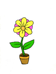 Cute pink and yellow flowers in a brown pot