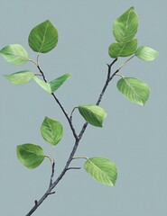 Lush Green Tree Branch with Vibrant Leaves for Desktop Wallpapers