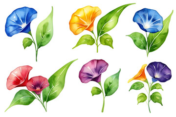 Watercolor Illustration of Colorful Morning Glory Flowers on Black Background