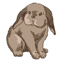 Naklejka premium rabbit front animal illustration.