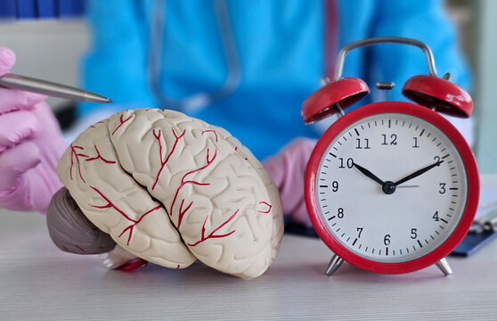 Model of a human brain with a clock emphasizes the importance of time in brain health assessments concept