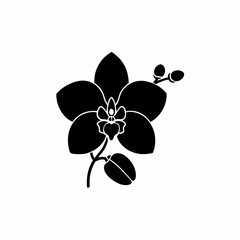 creative silhouette Orchid Icon victor illustration

