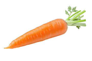 Fresh Vibrant Carrot Isolated on White Background for Culinary Use