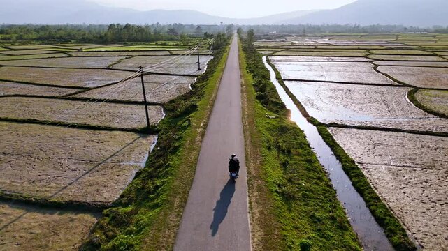 Flying over rice paddies, Vietnam - overhead shot - (4K)