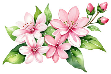 Fototapeta premium Watercolor Cherry Blossom Floral Arrangement with Pink Flowers and Green Leaves