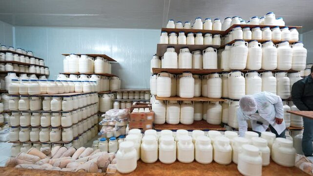 Cheese in cold storage is kept in a controlled environment to preserve its texture,flavor, and safety.Proper temperature and humidity levels ensure optimal aging, preventing spoilage maintaining.