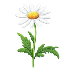 A cheerful daisy bright and beautiful a symbol of hope and new beginnings