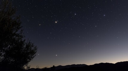 Fototapeta premium Celestial Night Watch