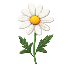 A cheerful daisy brightens the day with its simple beauty