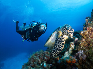 Scuba Diver posing behind a Sea Turtle