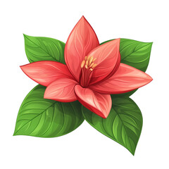 Obraz premium Vibrant coral flower blossoms beautifully surrounded by lush green leaves