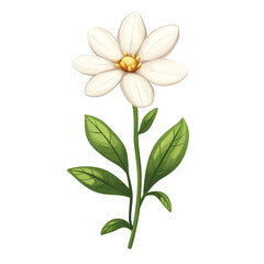 Naklejka premium A pristine white flower a symbol of purity and peace