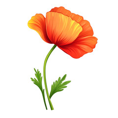 A vibrant orange poppy flower blooming beautifully