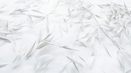 Obraz premium Elegant White Plant Arrangement - A Delicate Botanical Composition