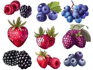 Set of fresh berries. summer fruits raspberry strawberry currant blueberry and wild strawberry with green leaf still life isolated on transparent background
