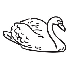 Fototapeta premium colorless duck illustration stroke.eps