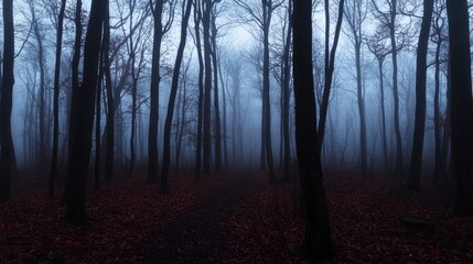 Fototapeta premium Misty forest, dark trees, fall foliage