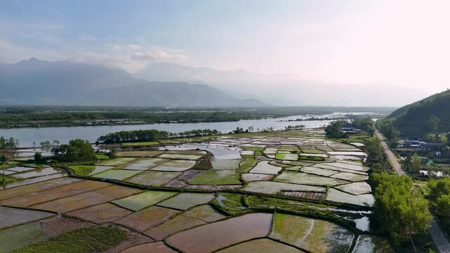 Flying over rice fields, Hoi An, Vietnam - pan shot - (4K)