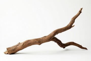 Twisted and turned driftwood branch against a pure white surface, textured, scenery, driftwood