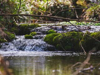 beautiful waterfall in the mountain