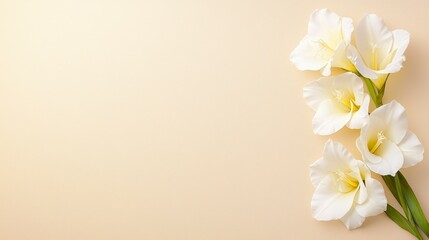 Fototapeta premium White Gladiolus on Beige Background Elegant Floral Arrangement