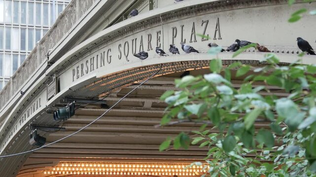 New York City Grand Central Terminal railway station, 42 street. Manhattan Midtown. Sign on bridge on Pershing Square, NYC, USA. American urban scene, United States. Pigeon birds and retro light bulbs