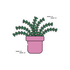 Vector image of a plant planted in a pot icon with a white background