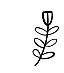 Hand drawn cute flower.Doodle flower vector.