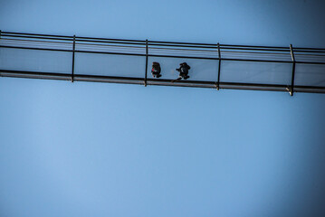 hightline 179, Burgruine Ehrenberg