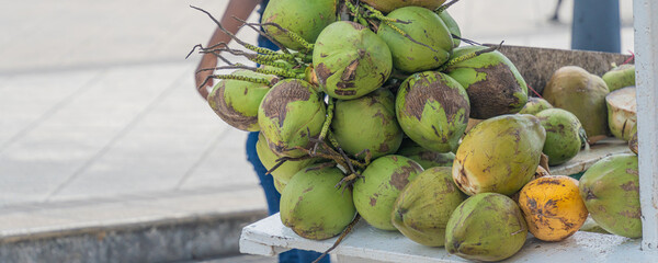 Pile of coconuts on a table display
