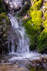 small waterfall in the forest with green moss in spring spiritual relaxation vertical