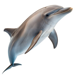 Obraz premium Dolphin AI Generated Image
