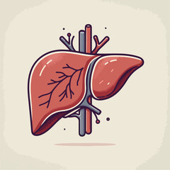 illustration of the liver organ