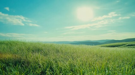 Fototapeta premium Lush Green Meadow Sky
