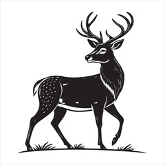 Deer   Vector 