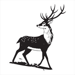 Deer   Vector 
