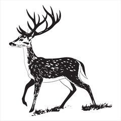 Deer   Vector 