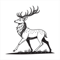 Deer   Vector 