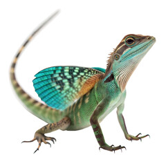 Fototapeta premium Draco Volans Lizard AI Generated Image
