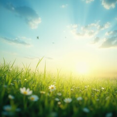 Obraz premium Primaveral