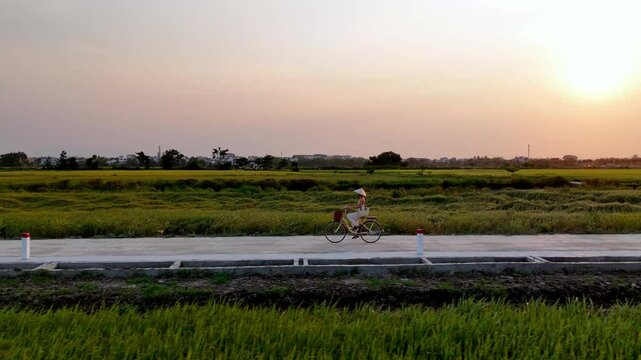Flying over rice fields, Hoi An, Vietnam - zoom out - (4K)