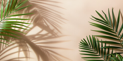 Minimalistic background features tropical leaves with subtle shadows, creating a clean and modern design. Copy space for text