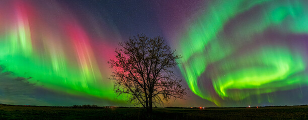 Amazing aurora borealis display with brilliant colors
