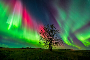 Amazing aurora borealis display with brilliant colors
