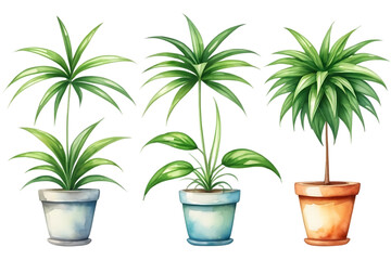 Obraz premium Illustrative Potted Plants Collection in Watercolor Style for Decorative Applications