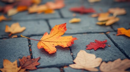 Obraz premium Fallen Colorful Leaves on Simple Autumn Background: Tranquil Nature Scene with Vibrant Foliage.