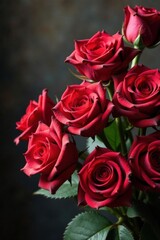 Obraz premium Wilted red roses, distressed backdrop, shadowy corners, romantic, illustration, rose